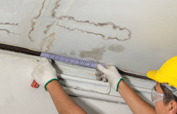 Reliable Basement Water Removal contractor in Fairland, MD by Water Damage Irwin